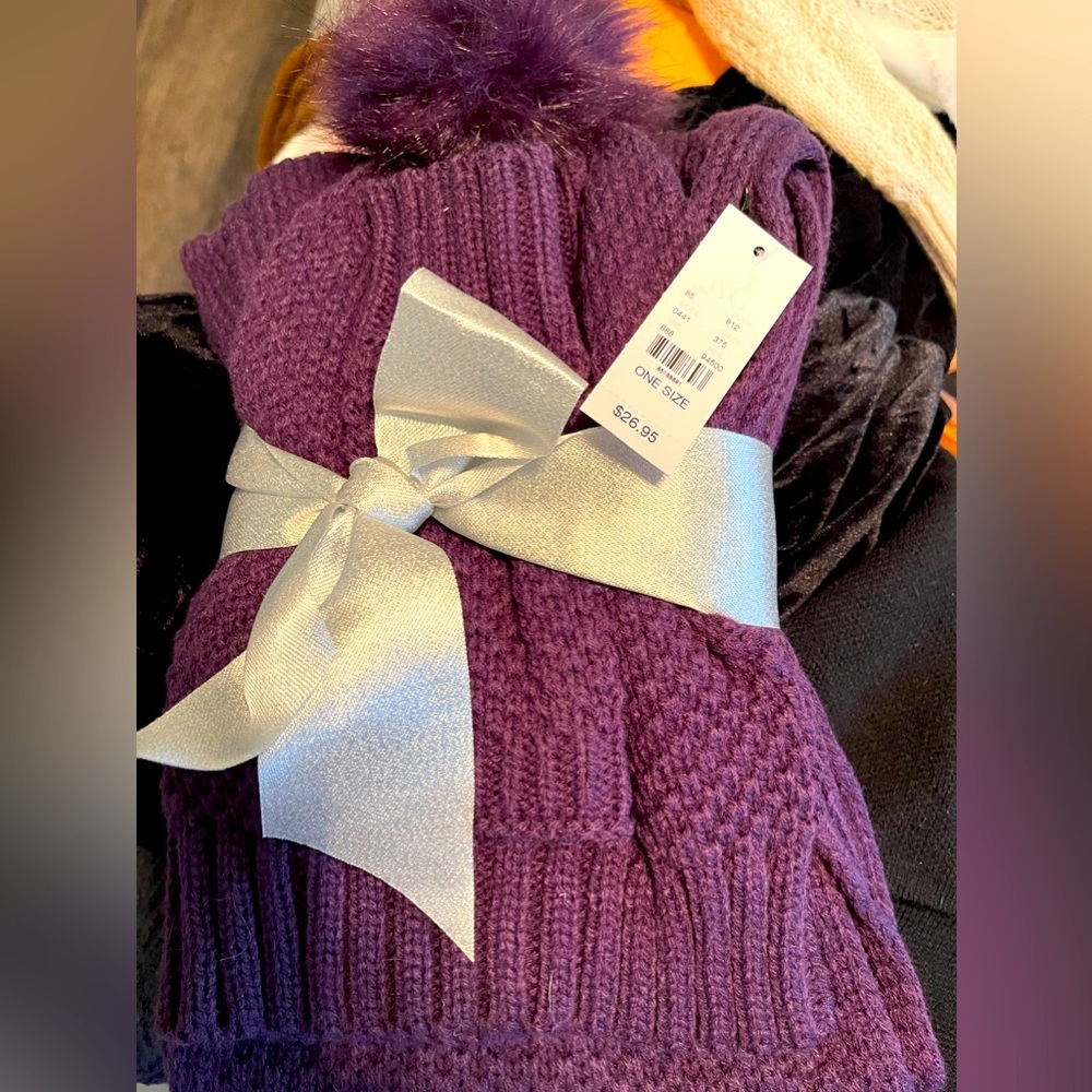 NWT New York & Company scarf and Pom hat gift set